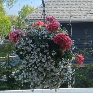 Meet your Posher, Valerie